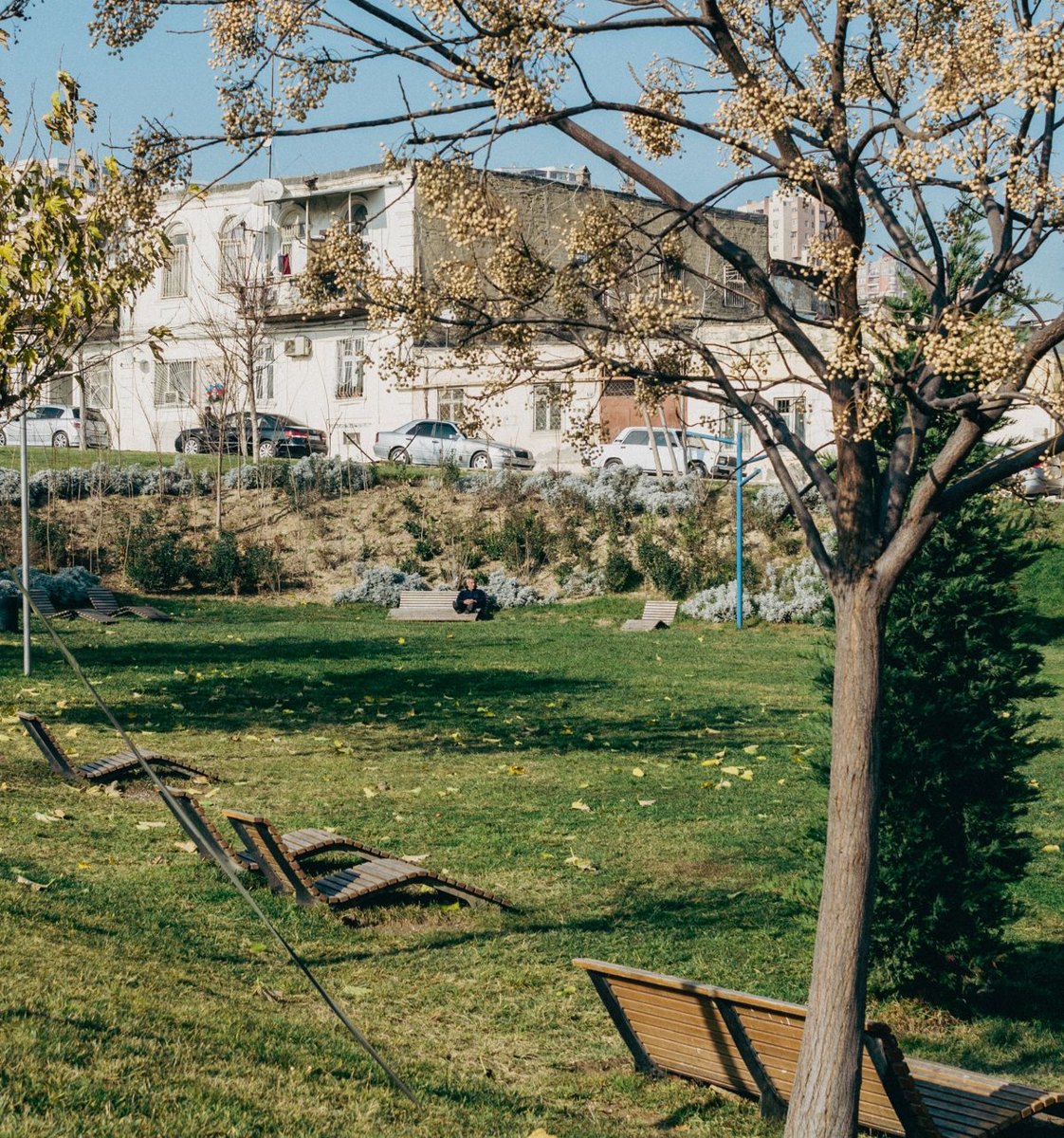 Park benches and open green space for an identifiable meeting location
