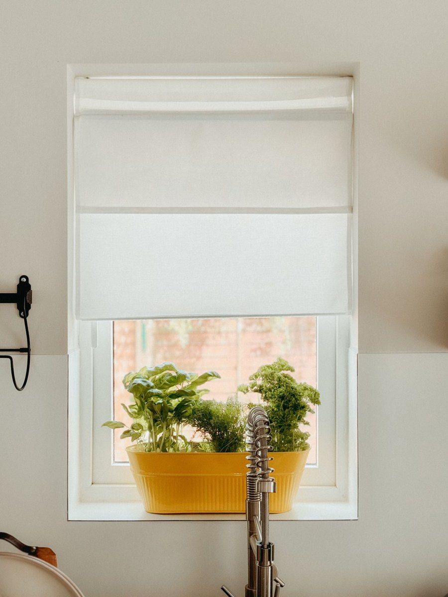 Potted culinary herbs on a kitchen windowsill